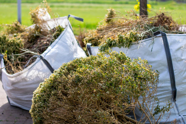 Best Residential Junk Removal  in Mendota, IL